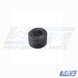 Korek Jet Pompy Sea-Doo WSM