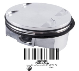 Tłok z Pierścieniami Nadwymiar 100,21 mm Sea-Doo 130/155 BRP